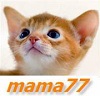  mama77